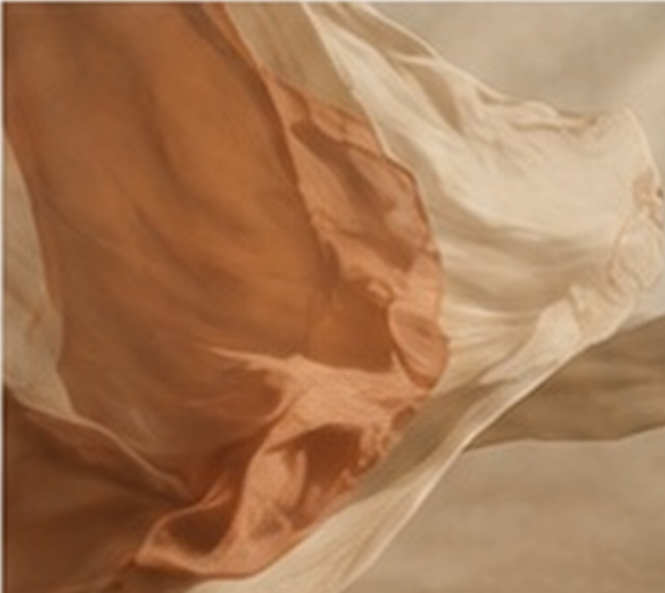 Voiles terracotta et écru emportés par le mouvement